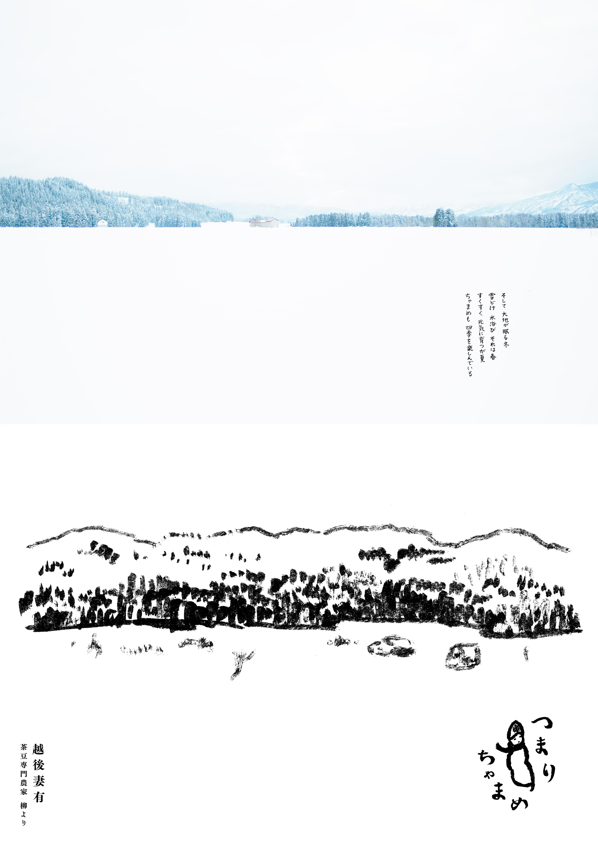 泊昭雄 STUDIO TOMARI